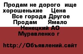 Продам не дорого ,ище хорошенькие  › Цена ­ 100 - Все города Другое » Продам   . Ямало-Ненецкий АО,Муравленко г.